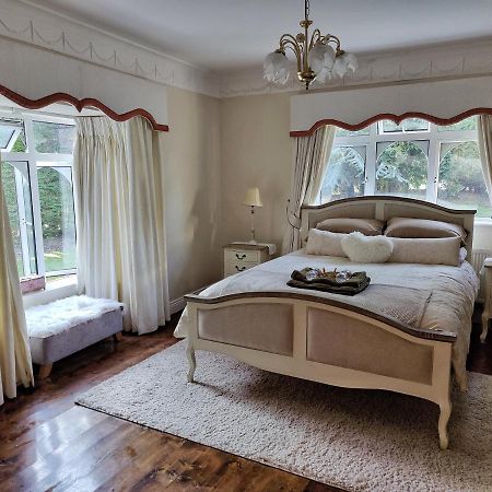 Rooms At Ballysax House The Curragh Dış mekan fotoğraf